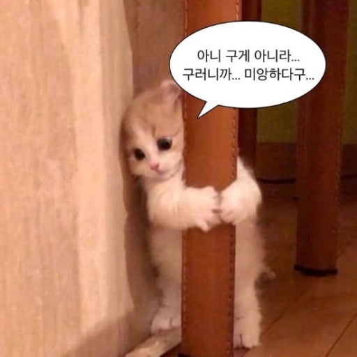 여친이 별이유로 나랑 싸운 후