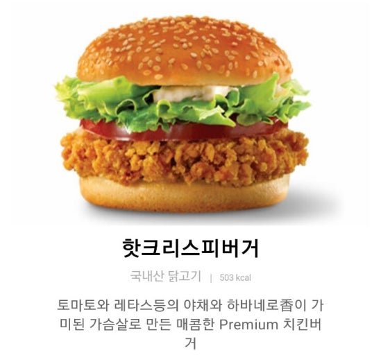 프차 햄버거 근본 베스트5