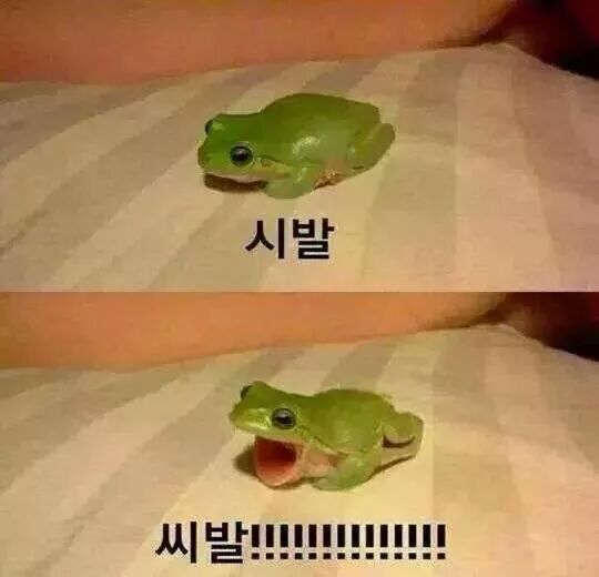 오늘 우리 엘지는 1위를 지켜낼수 있을꺼
