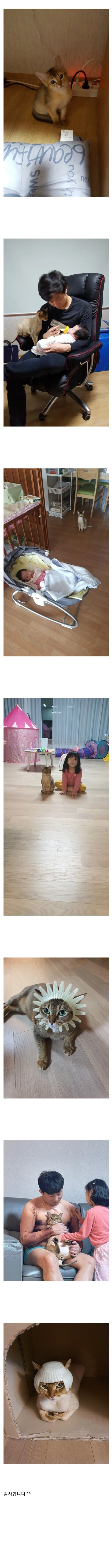 아빠와 딸, 고양이 4년간 변화