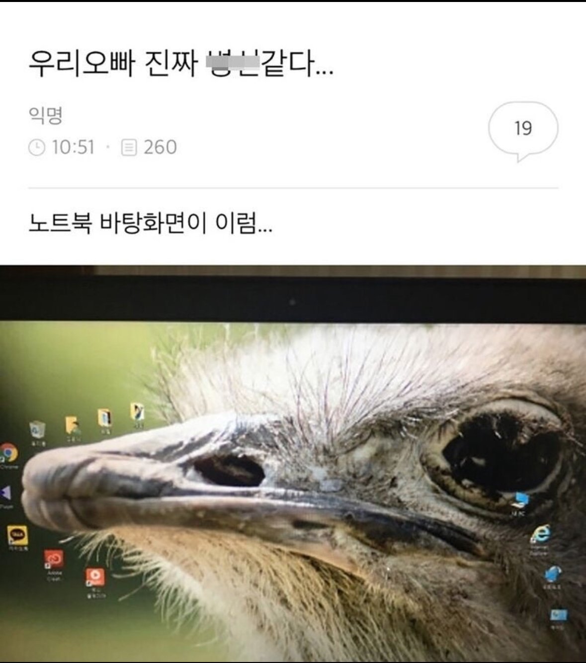 우리 오빠 진짜 ㅂㅅ같다