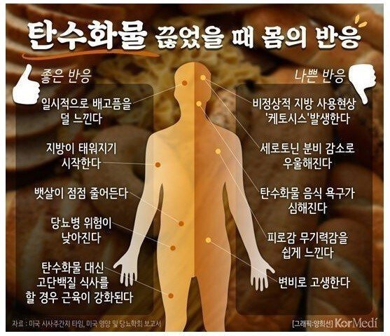 탄수화물을 끊었을때 몸의 변화.