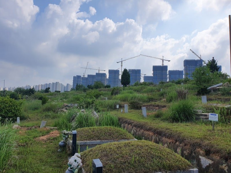(호러) 운정신도시 공동묘지 변천사