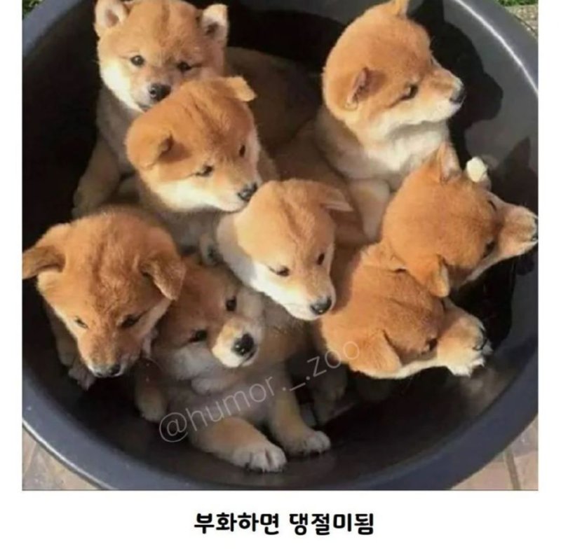 곧 다가 올 여름을 위해 상온에 두면 안 되는 음식들 모음 (필독)