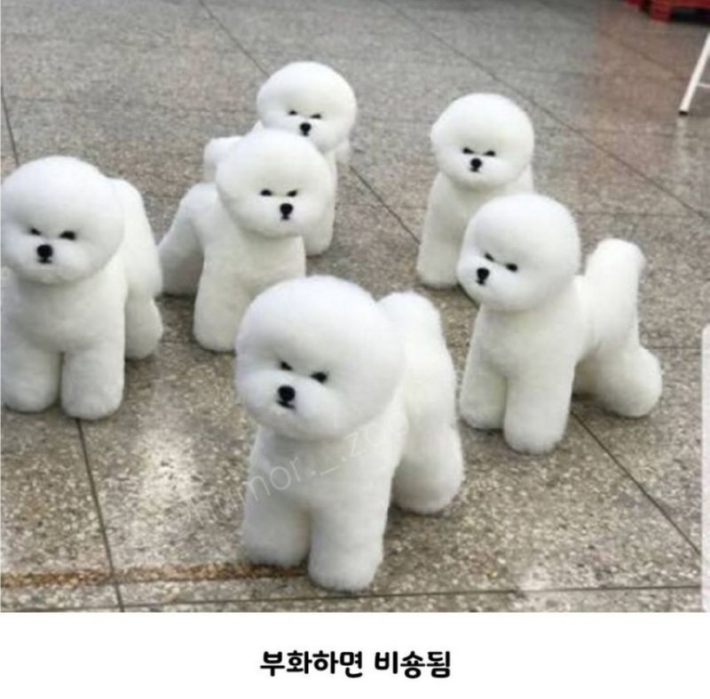 곧 다가 올 여름을 위해 상온에 두면 안 되는 음식들 모음 (필독)