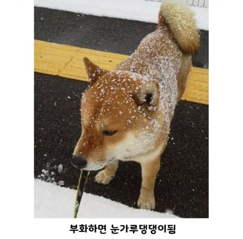 곧 다가 올 여름을 위해 상온에 두면 안 되는 음식들 모음 (필독)