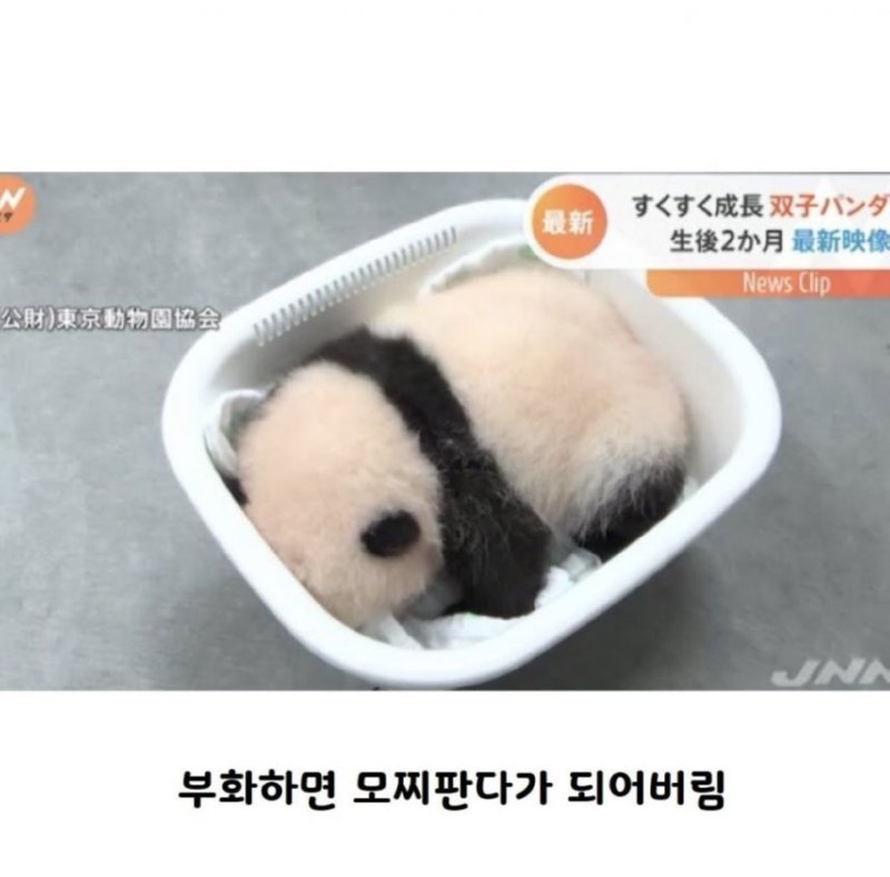 곧 다가 올 여름을 위해 상온에 두면 안 되는 음식들 모음 (필독)