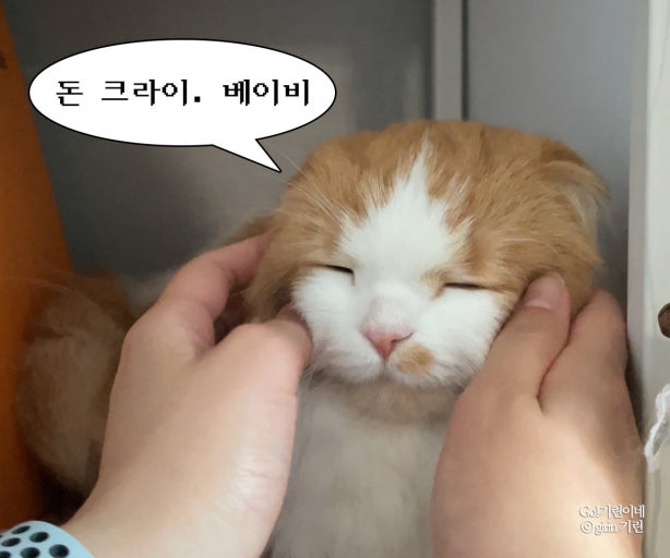 돈이 없어서 크라이 하지 ㅋㅋㅋ