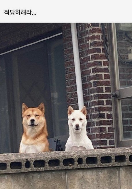 오늘 지바롯데 외노자 정보