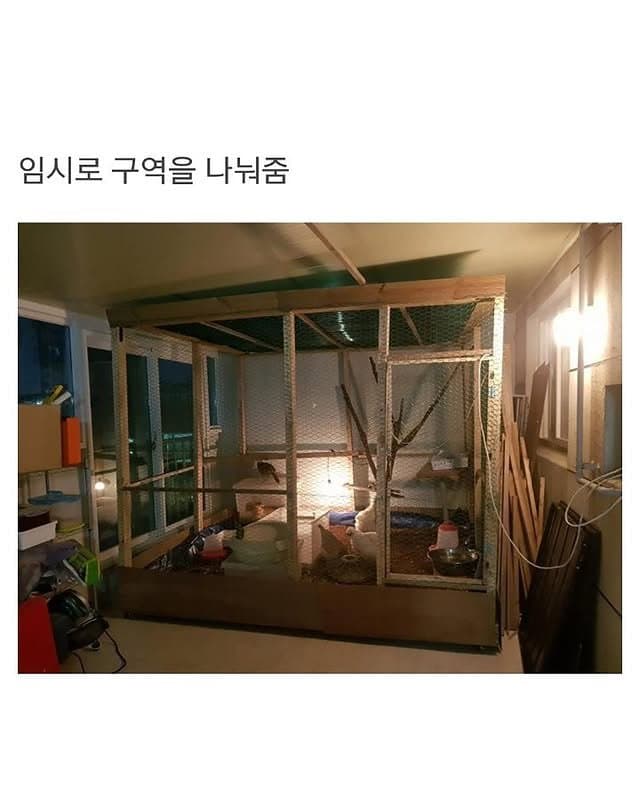베란다에 닭장 만든 동물갤러