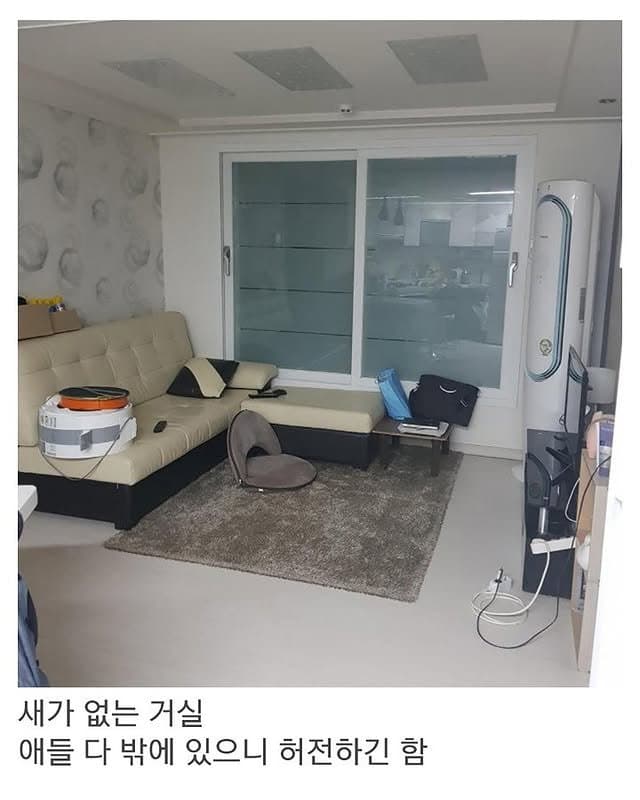베란다에 닭장 만든 동물갤러
