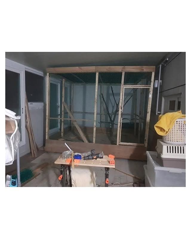 베란다에 닭장 만든 동물갤러