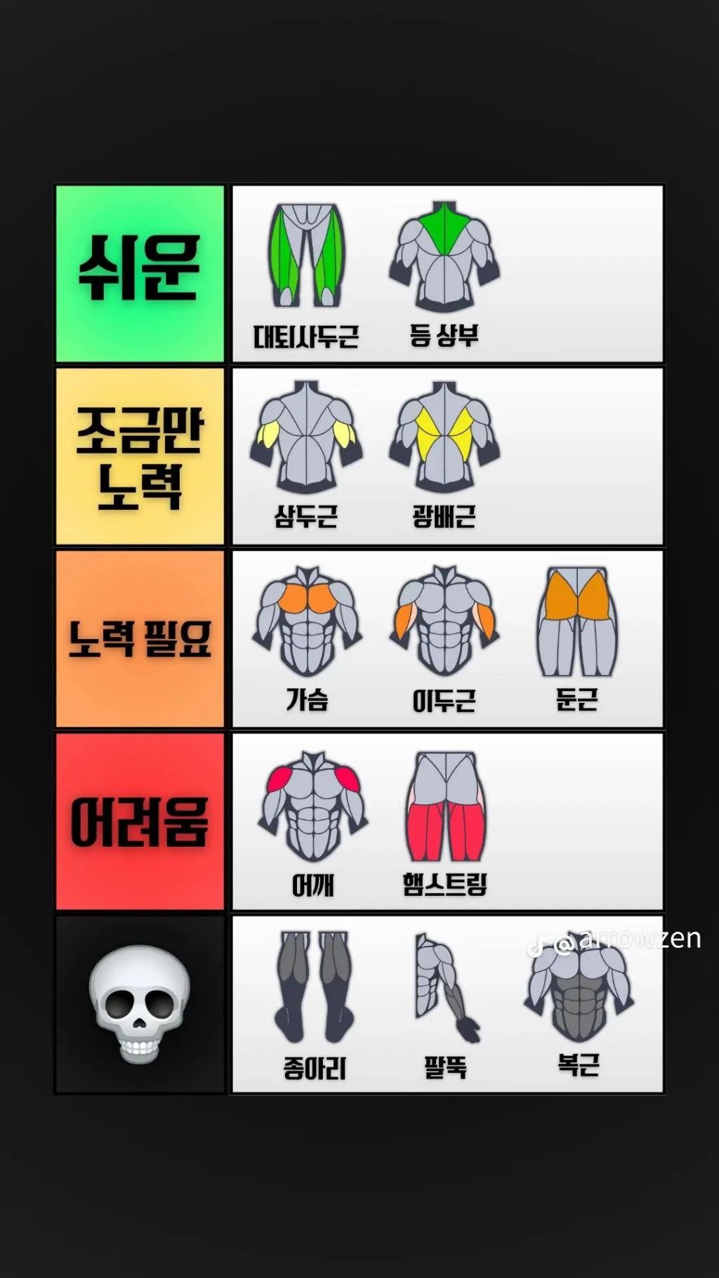남자들 근육 만들기 난이도 티어