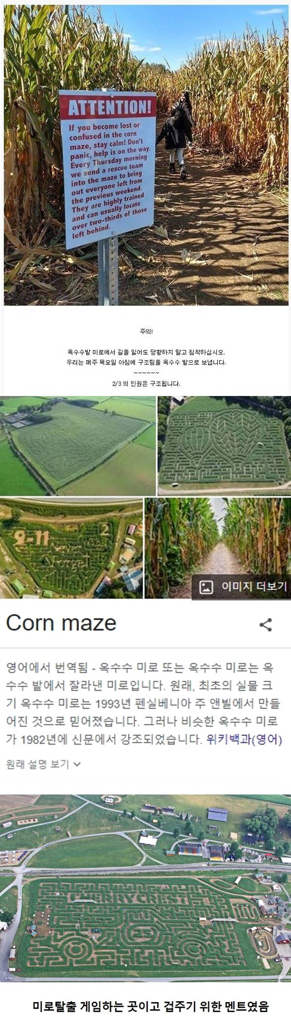 미국 옥수수밭 실종 괴담의 진실