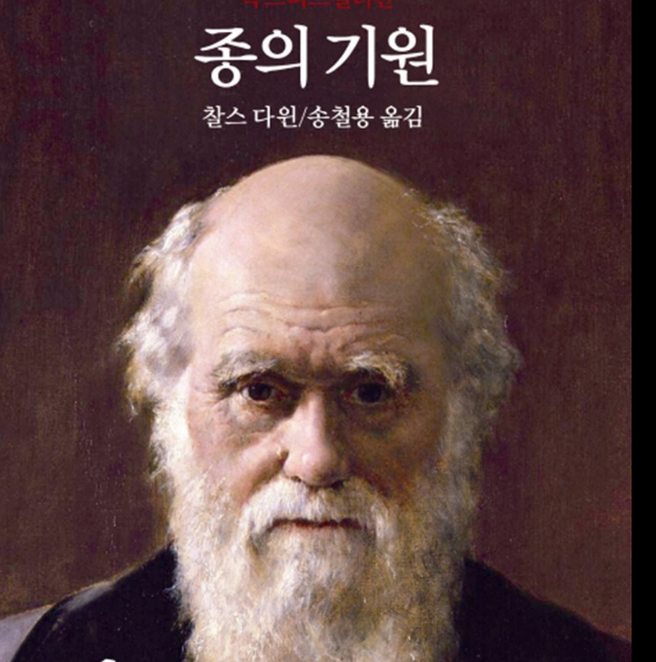 만물 백종원이 맞는 이유