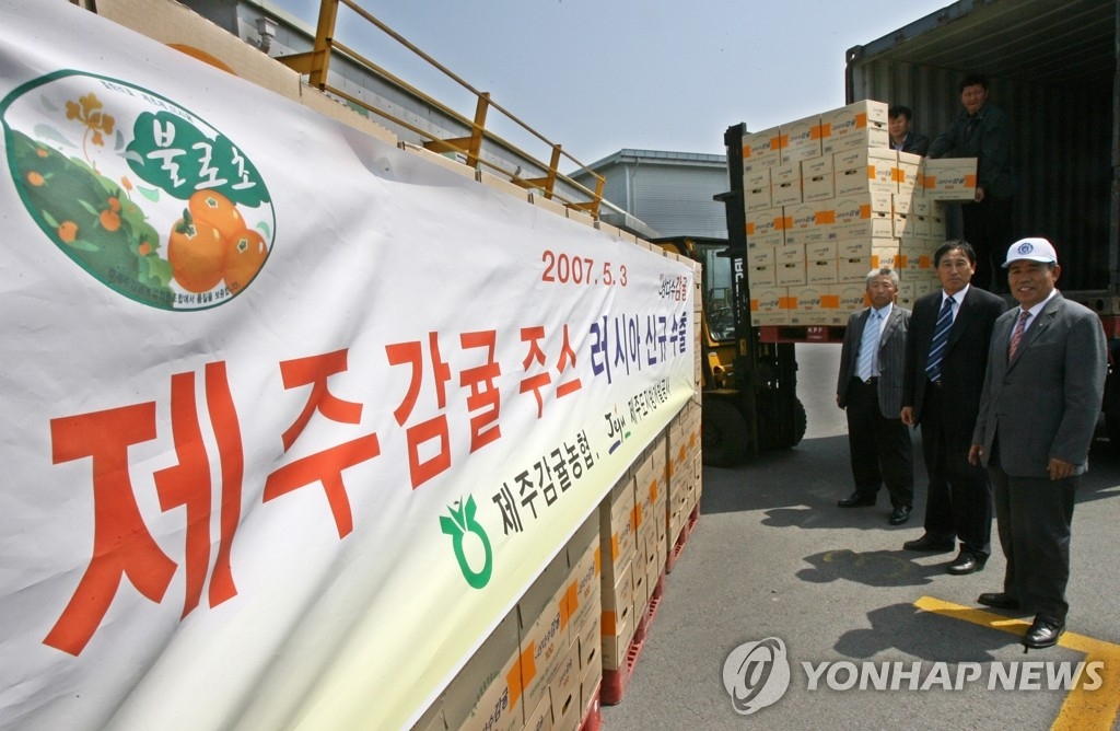 전쟁 중인 러시아가 제주산 감귤 최대 수입국    매년 50% 이상