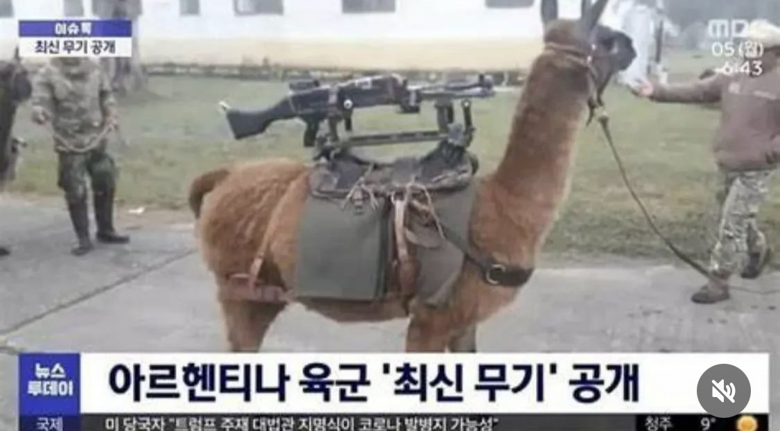메탈슬러그