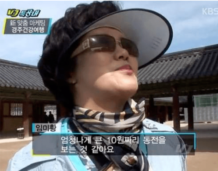 다보탑을 본 아주머니 반응