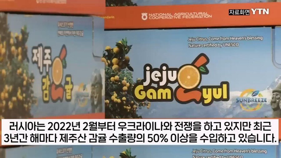 제주 감귤 농가를 진짜 살려주는 곳