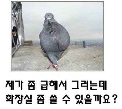 오줌싸야되는데