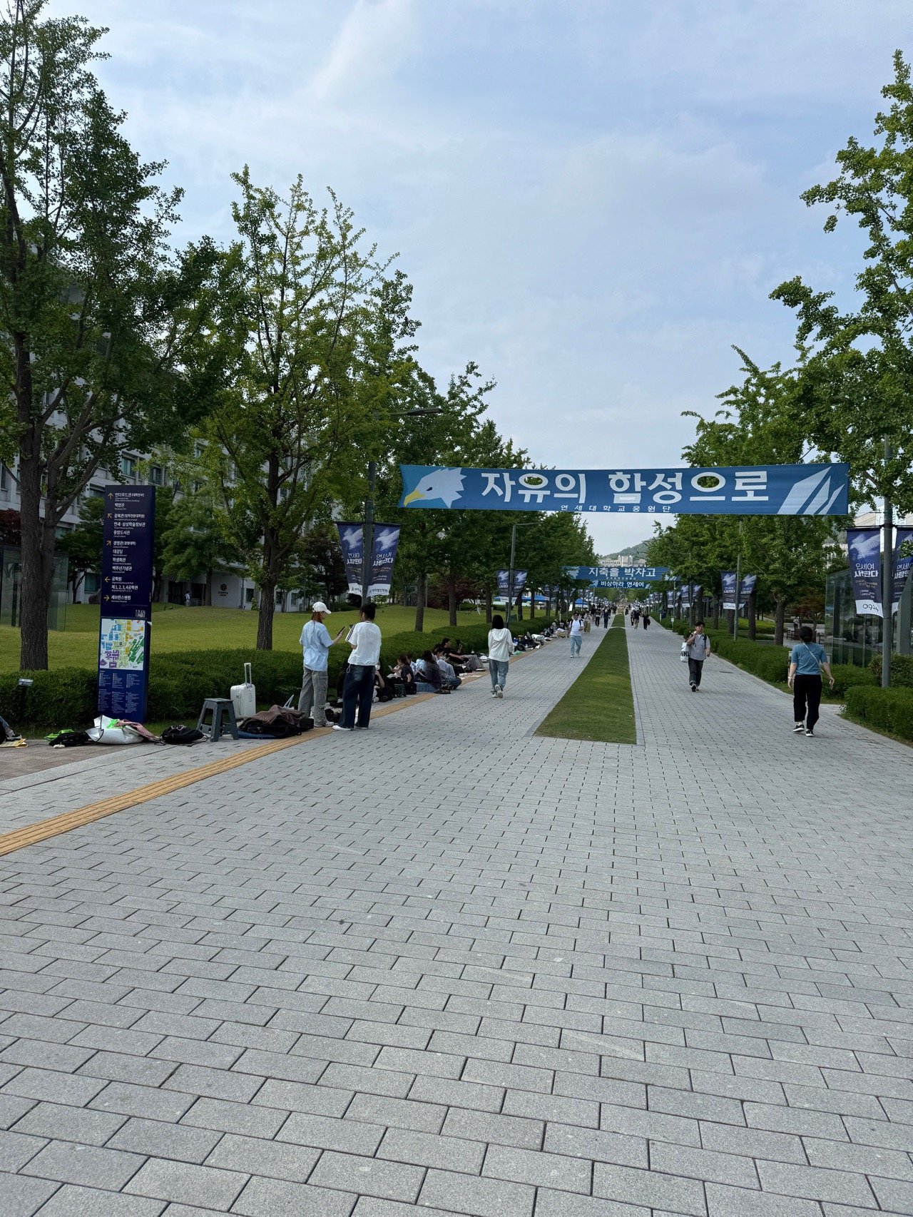 실시간 연세대 상황