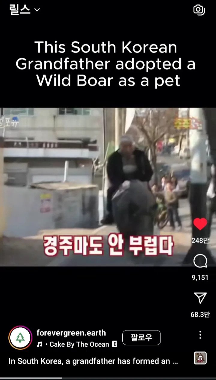 인스타 알고리즘터진 한국 할아버지