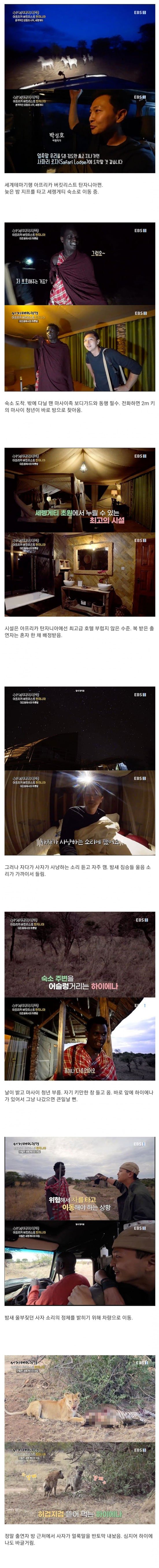 1박 백만원, 세렝게티 럭셔리 숙소. *사자 주의