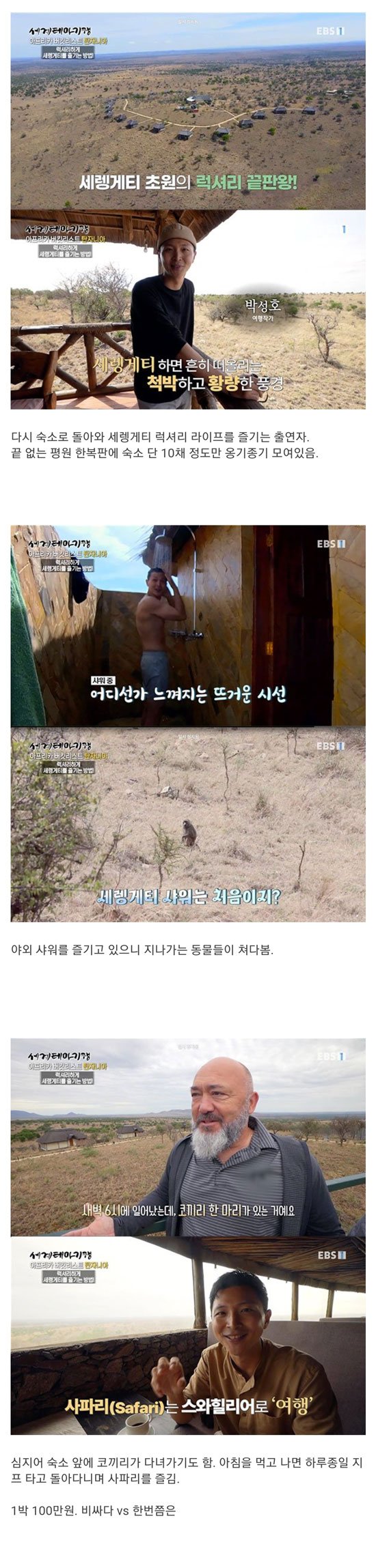 1박 백만원, 세렝게티 럭셔리 숙소. *사자 주의