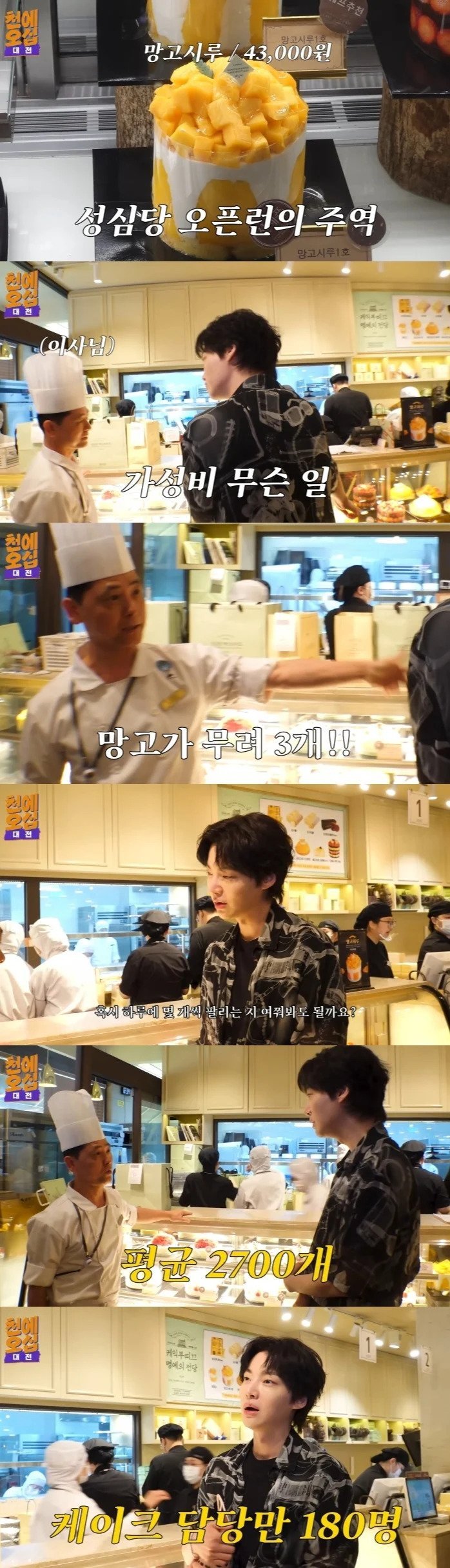 성심당 하루에 팔리는 망고시루 케이크 갯수의 위엄