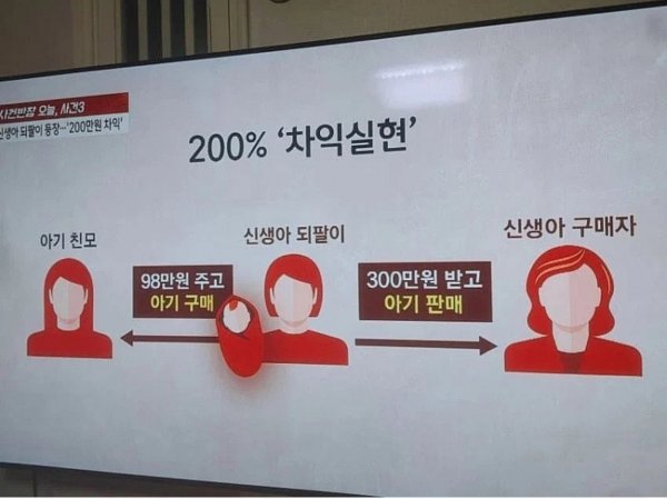 수익률 200%낸 여자