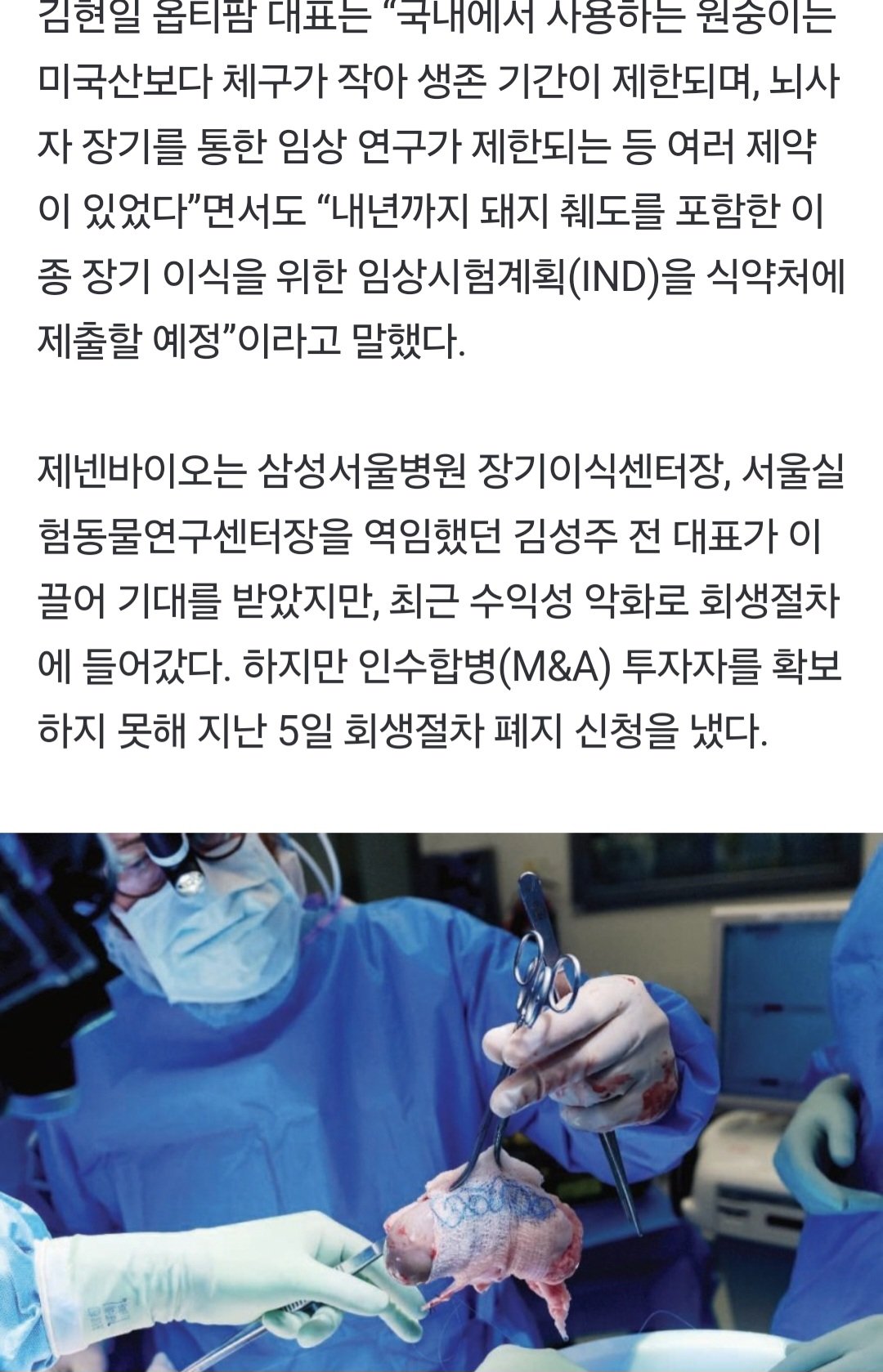 돼지 신장으로 생명 연장   한국도 내년 첫 임상시험 도전