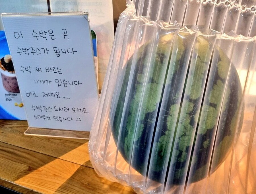 수박 씨 바르는 기