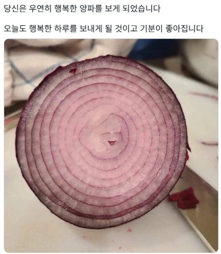 당신은 우연히 행복한 양파를 보게 되었습니다
