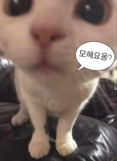 내 베스티가 오랫동안  휴대폰에 있을 때