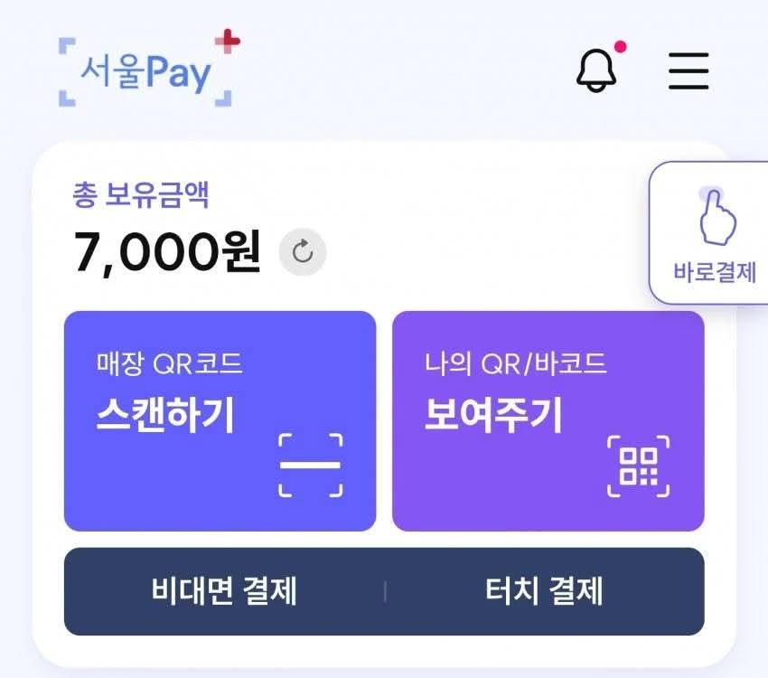 민생지원금 받아서 나라에 돌려준 디씨인