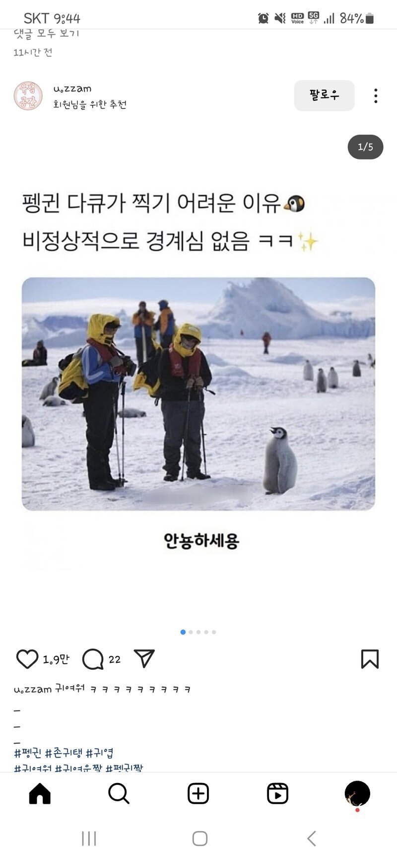 펭귄 다큐 촬영이 어려운 이유래
