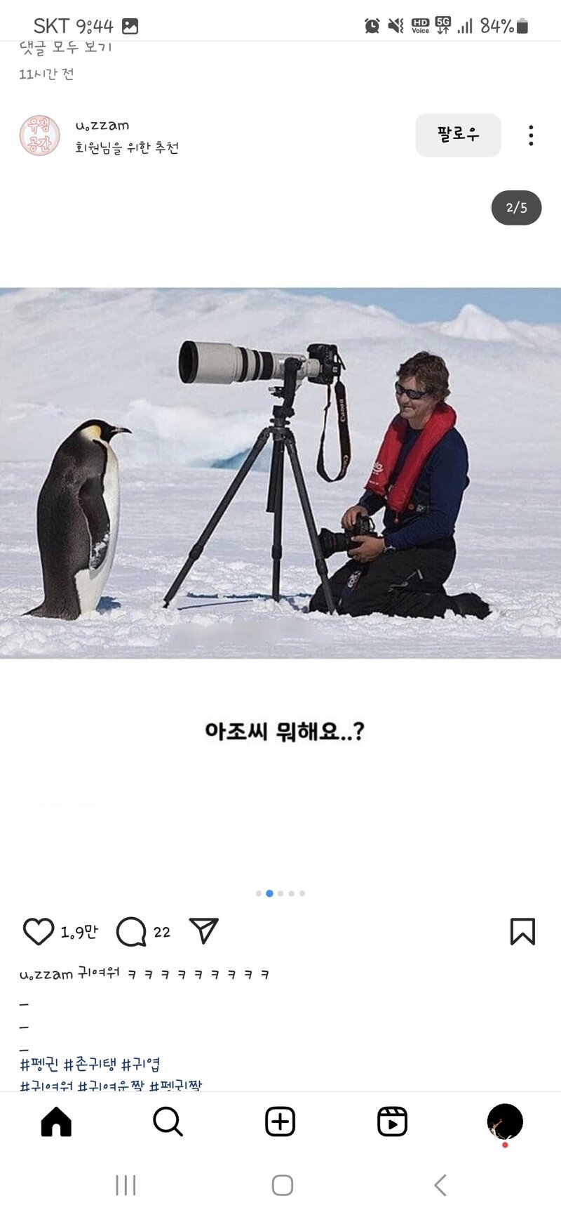 펭귄 다큐 촬영이 어려운 이유래