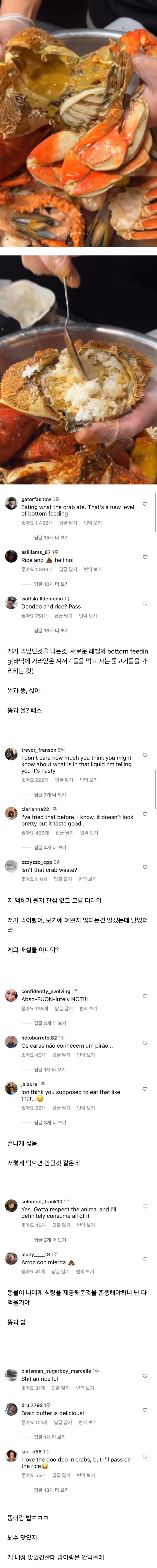 게딱지 비빔밥을 본 외국인들 반응