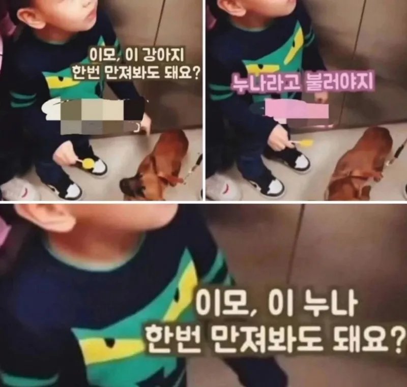 이모, 이 누나 만져도 돼요?