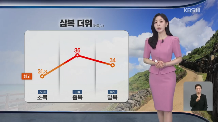 전국 99% 폭염특보  주말까지 찜통 확정
