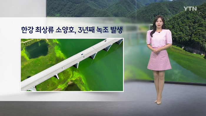 전국 99% 폭염특보  주말까지 찜통 확정