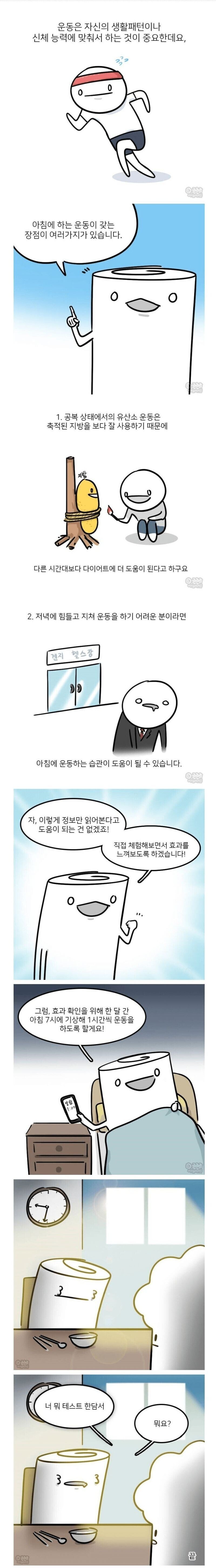 아침 운동이 꼭 필요한 이유
