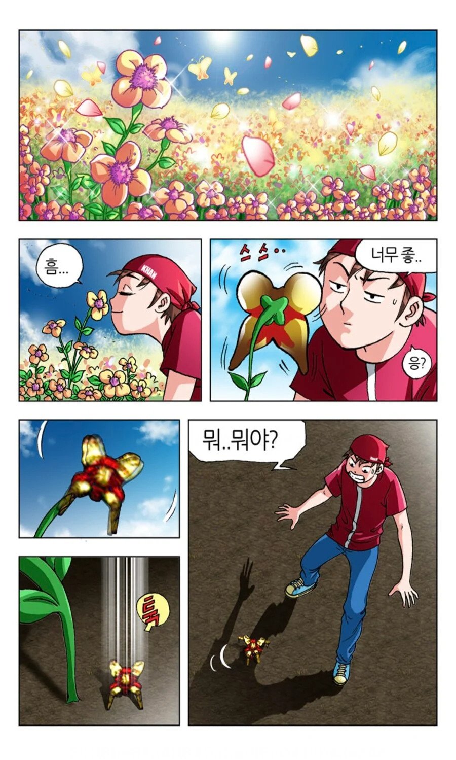 꽃에게 함부로 다가가면 안되는 이유