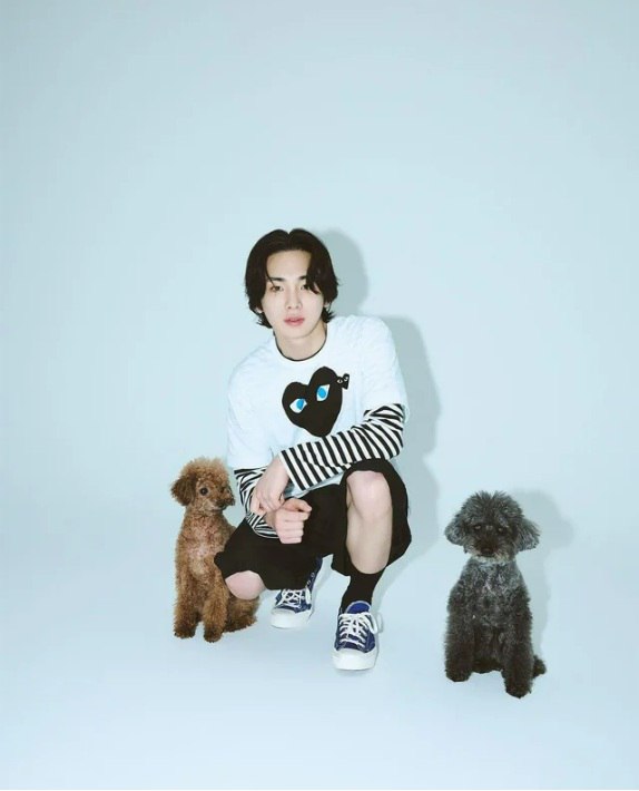 K팝 스타들이 반려동물에게 지어준 귀여운 이름들