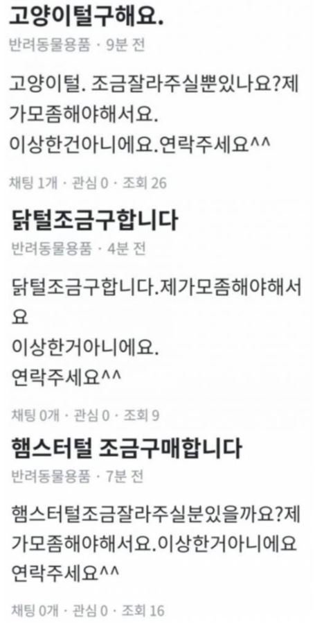 당근에 나타난 연금술사