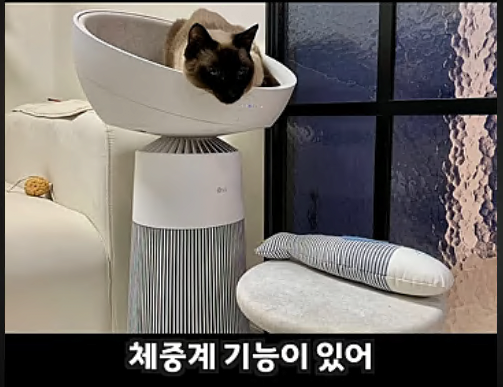 LG 공기청정기 + 켓돔