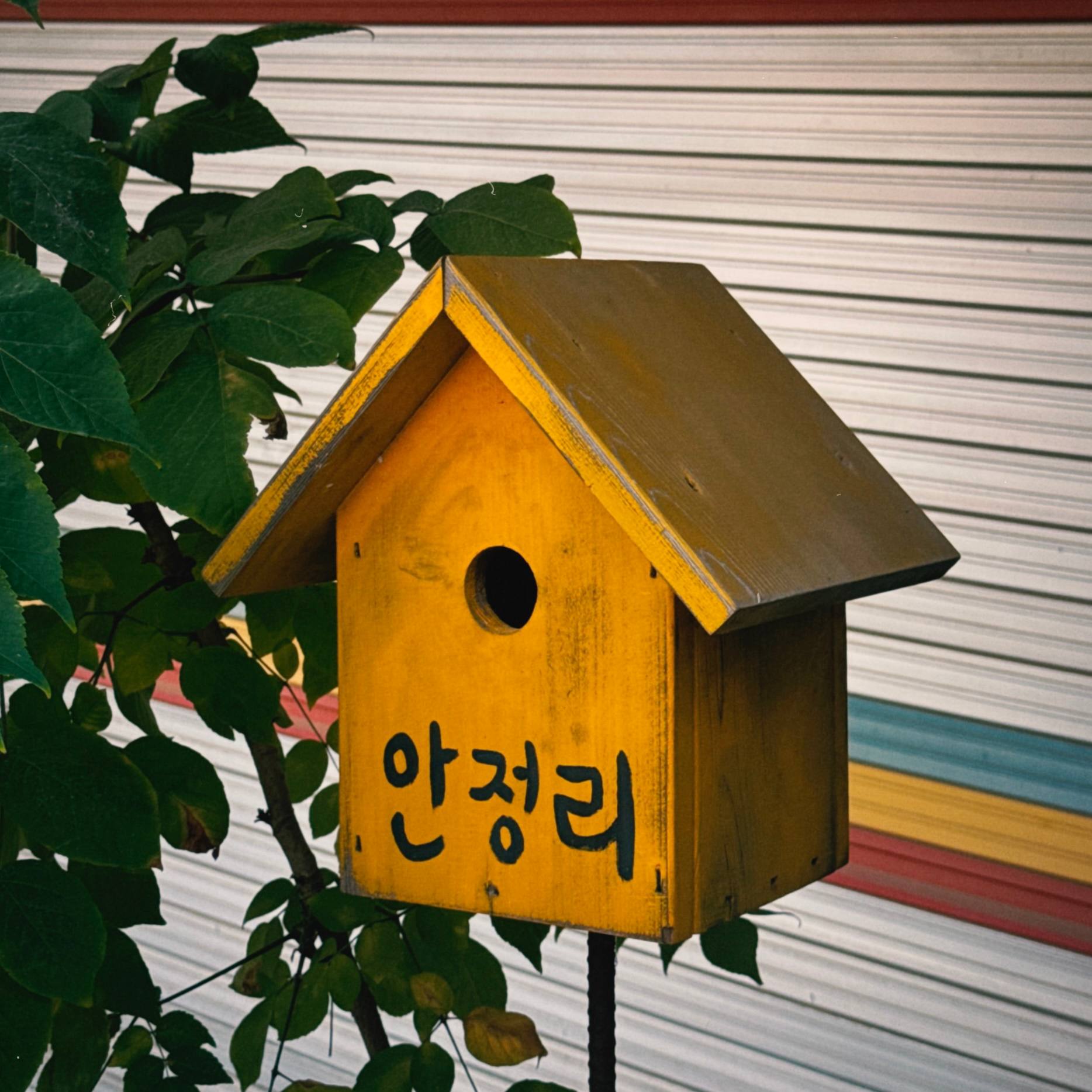 평택 송탄 관광특구 여름 첫 방문
