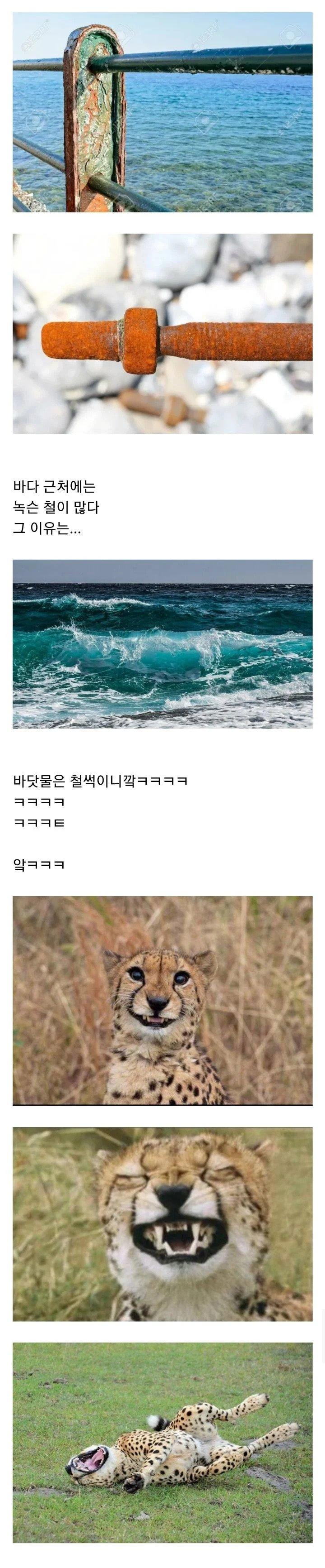바닷물이 철을 녹슬게 만드는 이유