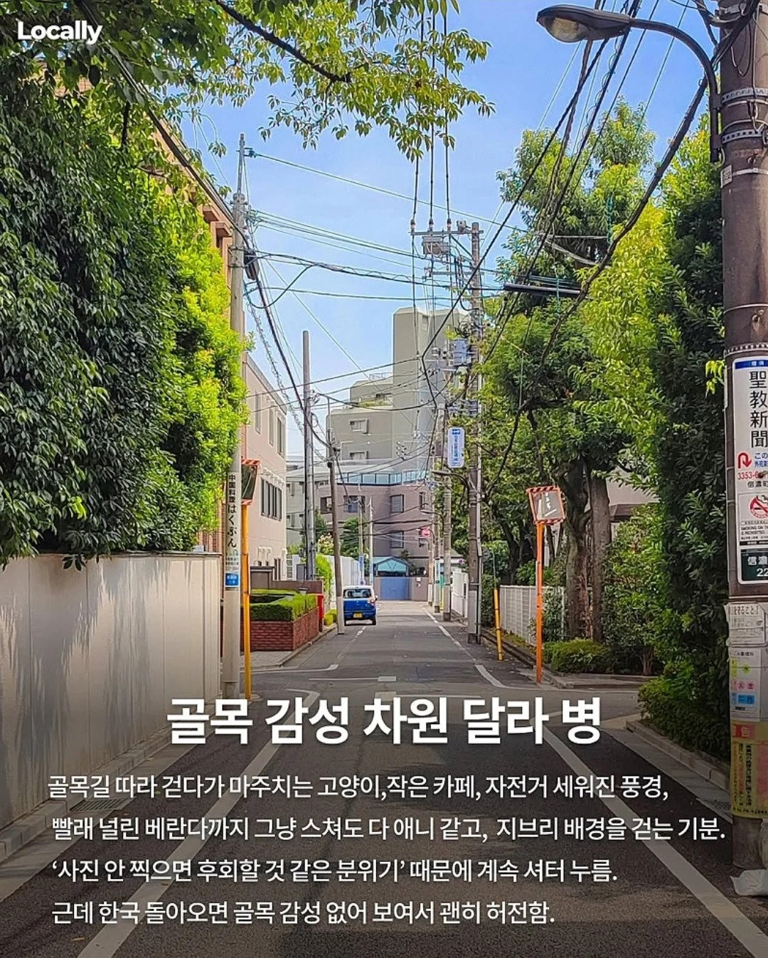 일본 여행 갔다오면 걸린다는 병