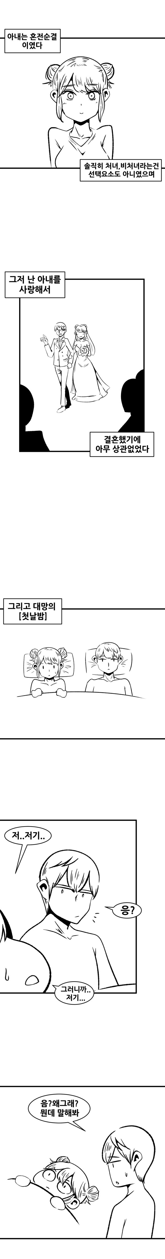 혼전순결 아내